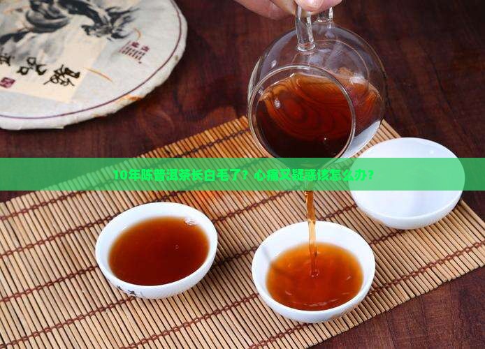 熟普洱茶上面的白点是什么