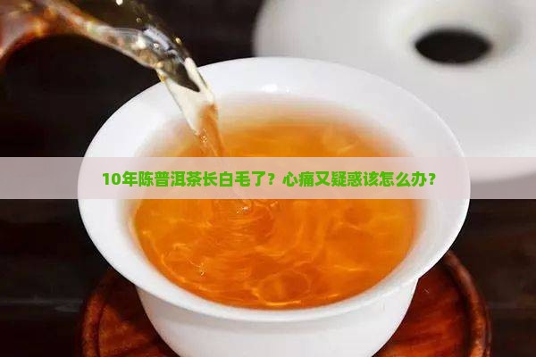 熟普洱茶上面的白点是什么