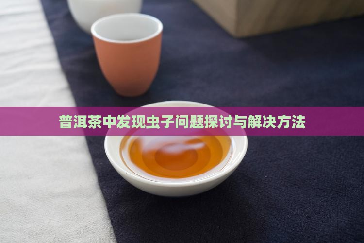 普洱茶中长了虫子
