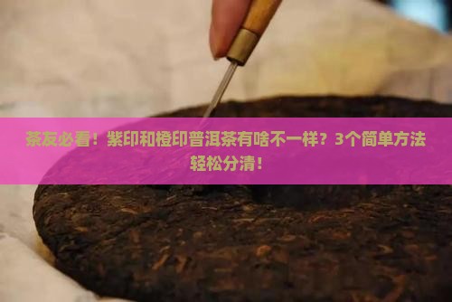 普洱茶的紫印和橙印的区别