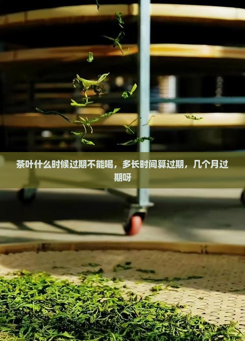 茶叶什么时候过期