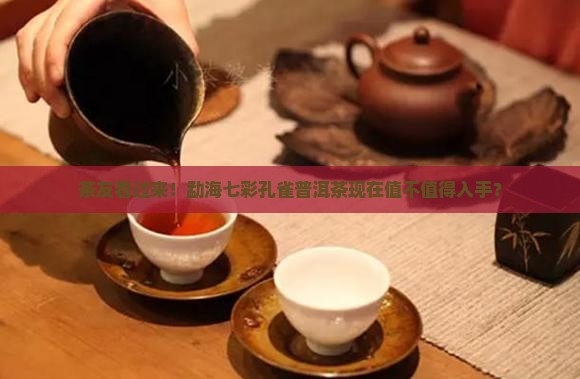勐海七彩孔雀普洱茶行情