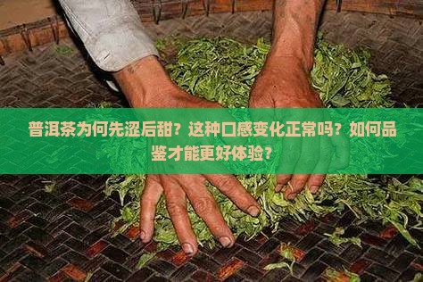 普洱茶先涩后甜