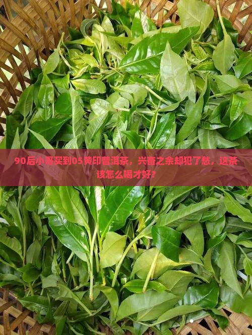 05黄印普洱茶