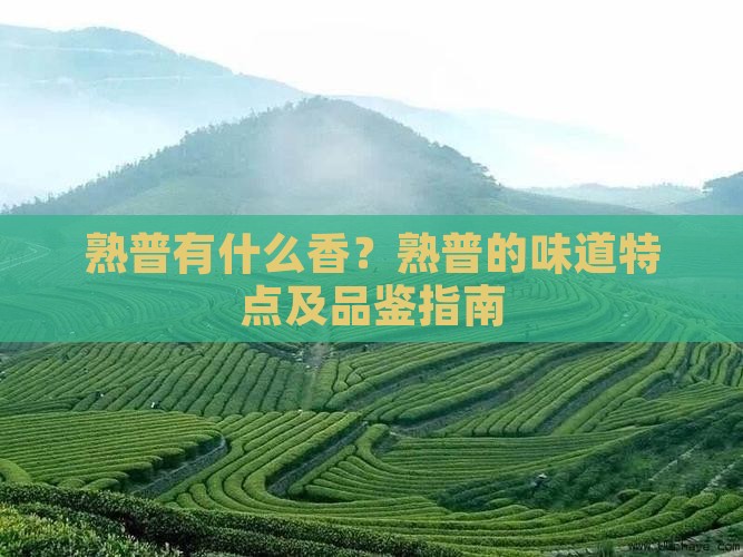 熟普有什么香熟普的味道特点