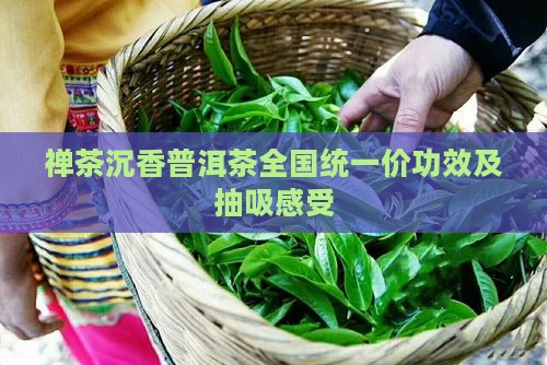 禅茶沉香普洱茶