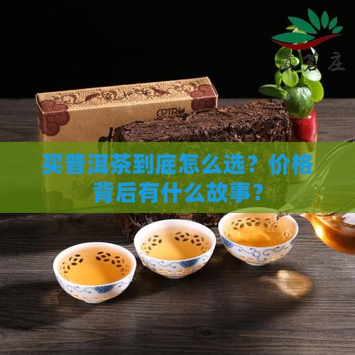 购买购普洱茶价格