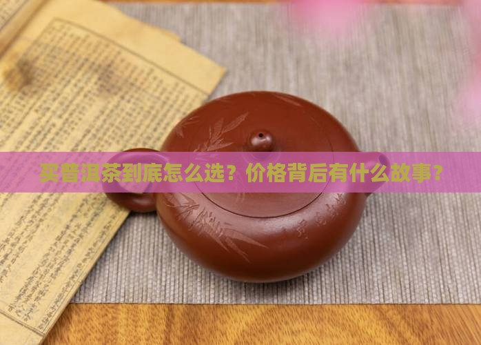 购买购普洱茶价格