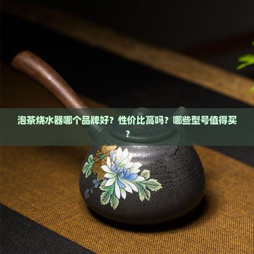 泡茶烧水器排名