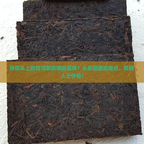 抹在头上的普洱茶所有品牌