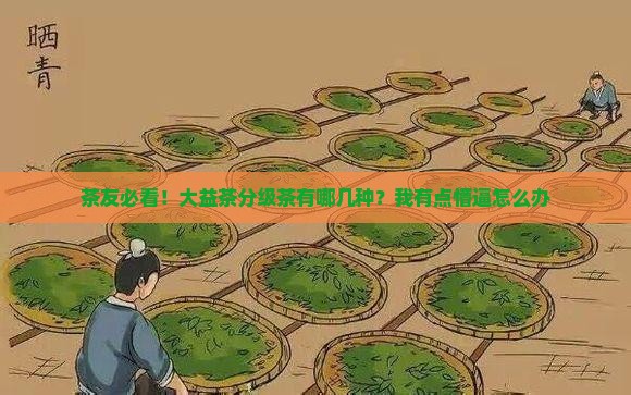 大益茶分级茶都有哪几种