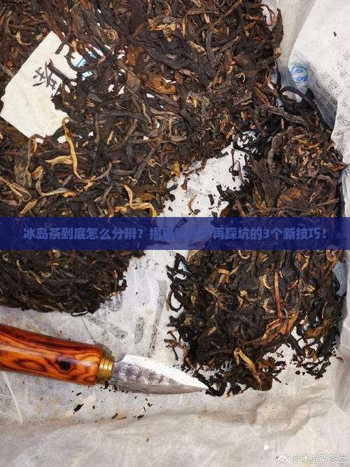三招分辨冰岛茶