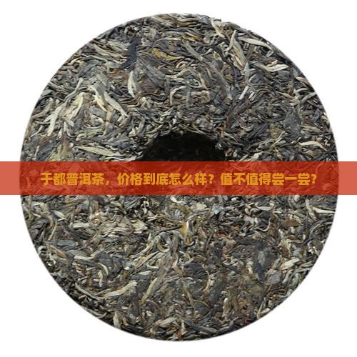 赣州于都普洱茶价格