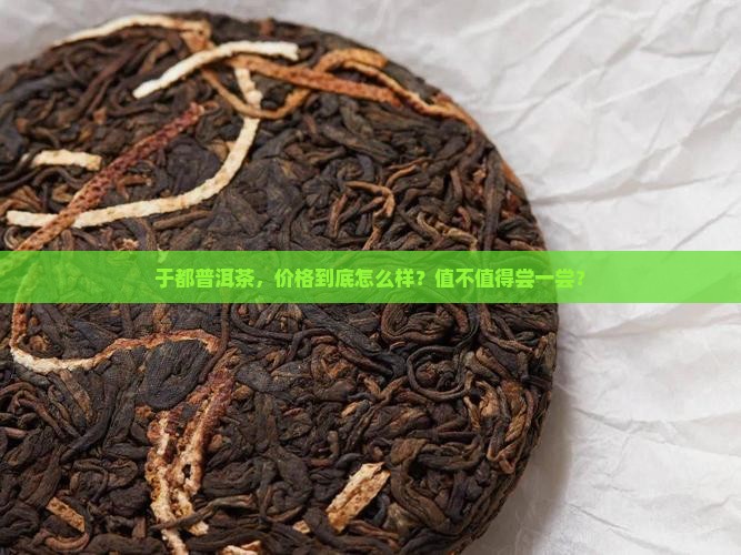 赣州于都普洱茶价格