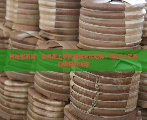 普洱茶上帝视角是什么样的
