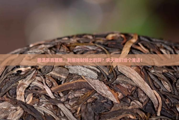 普洱茶真藏版是何年产品