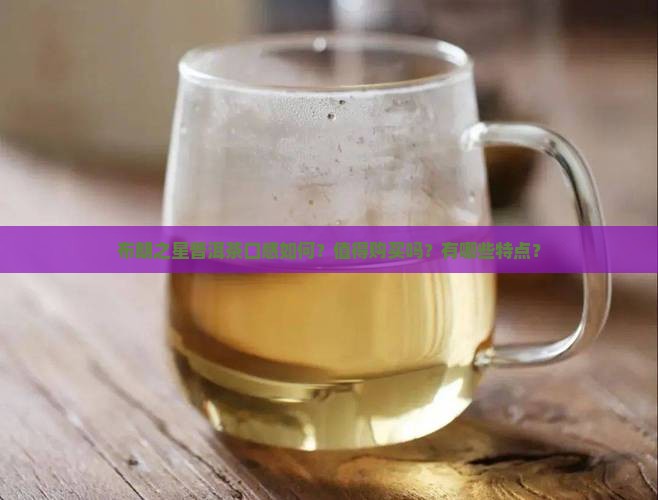 布朗之星普洱茶咋样