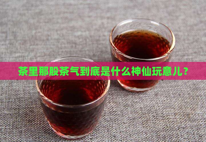 对茶的理解茶里茶气的啥意思