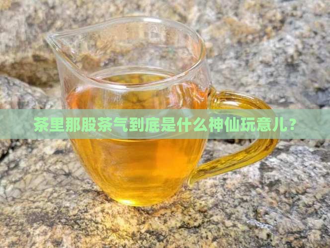 对茶的理解茶里茶气的啥意思