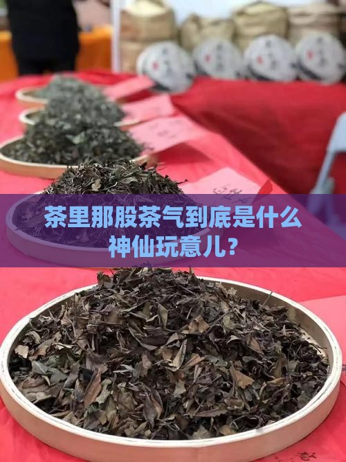 对茶的理解茶里茶气的啥意思
