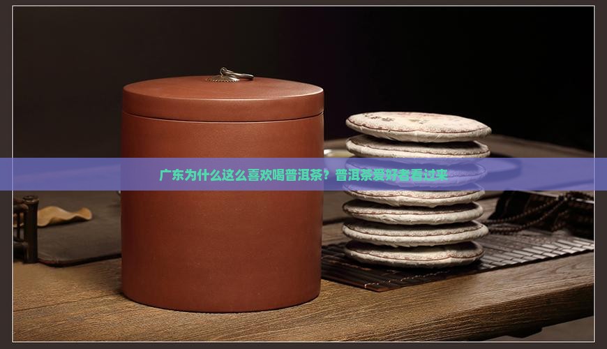 普洱茶多被广东人喝了