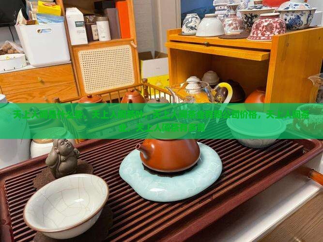 天上人间是什么茶