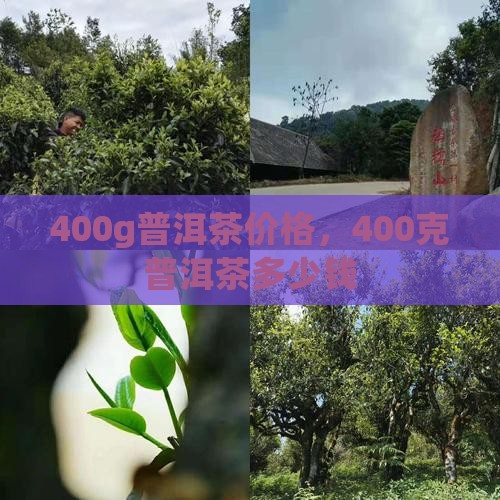 400g普洱茶价格