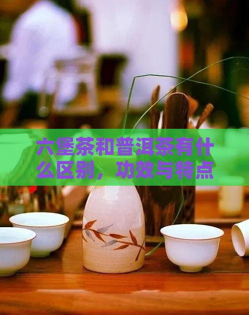 六堡茶和普洱茶有什么区别