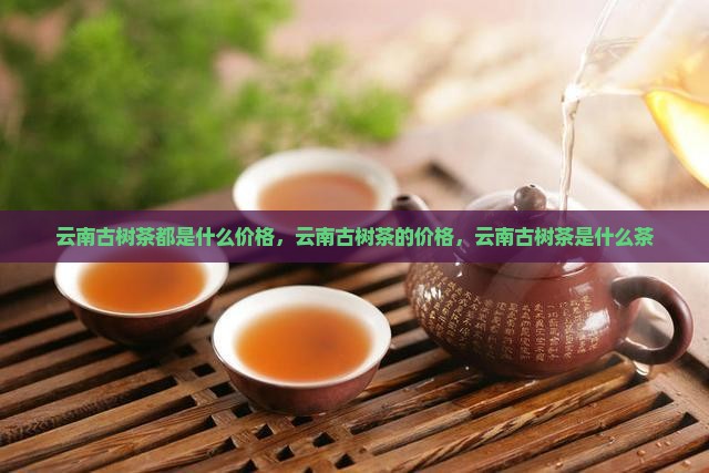 云南古树茶都是什么价格