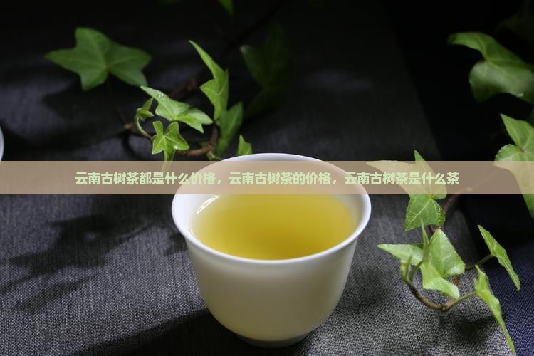 云南古树茶都是什么价格