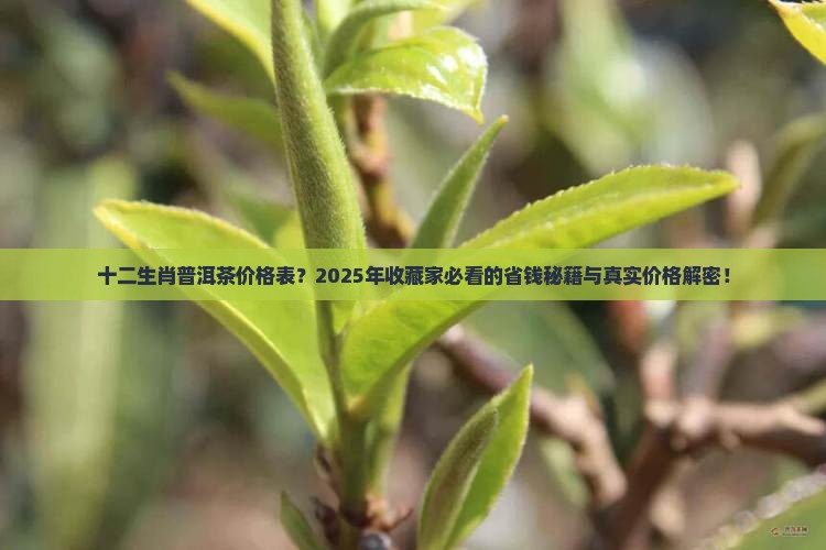 十二生肖普洱茶价格表