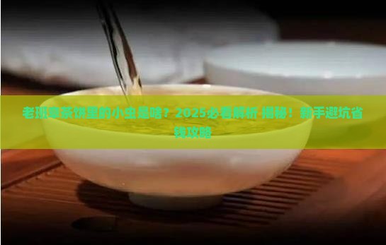 老班章茶饼里有小虫