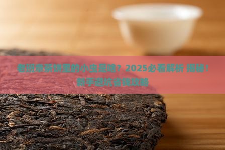 老班章茶饼里有小虫
