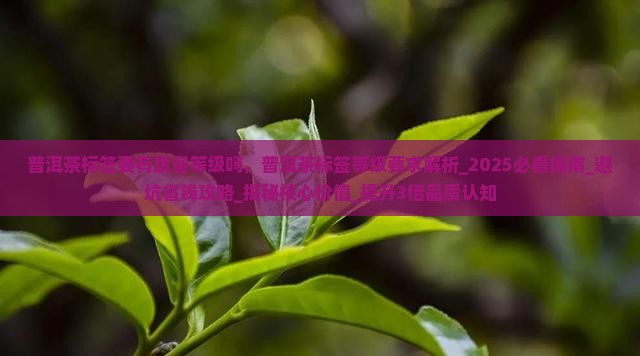 普洱茶标签要有质量等级吗