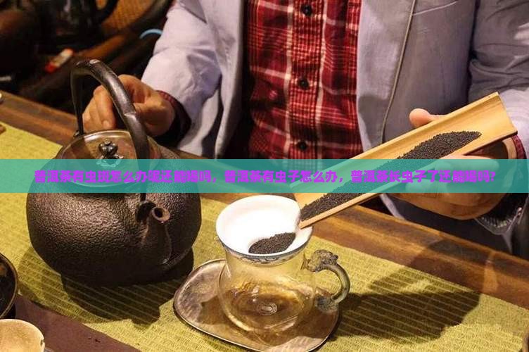 普洱茶有虫斑怎么办呢还能喝吗