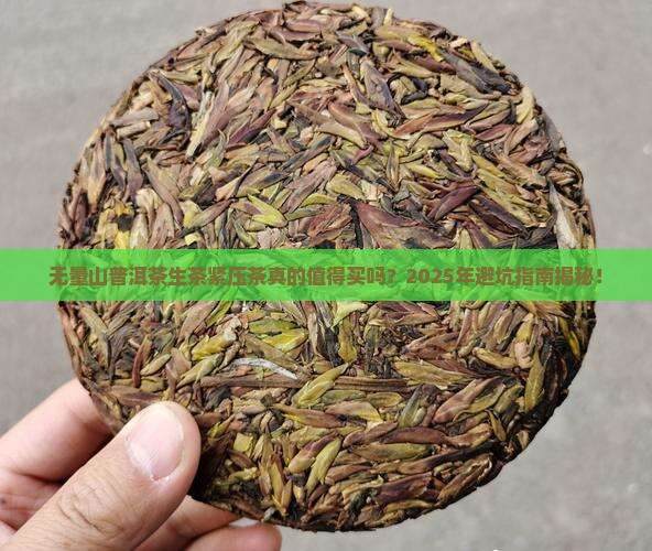 无量山普洱茶生茶紧压茶