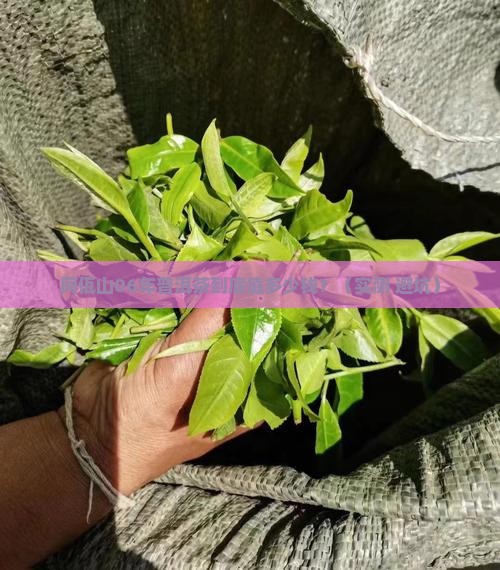 阿佤山06年普洱茶价格