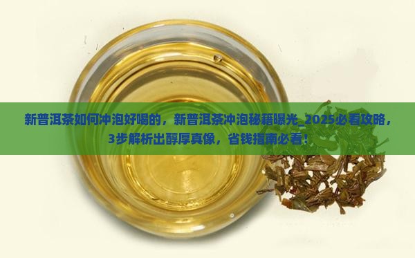 新普洱茶如何冲泡好喝的