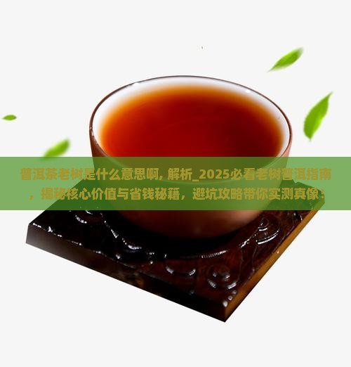 普洱茶老树是什么意思啊