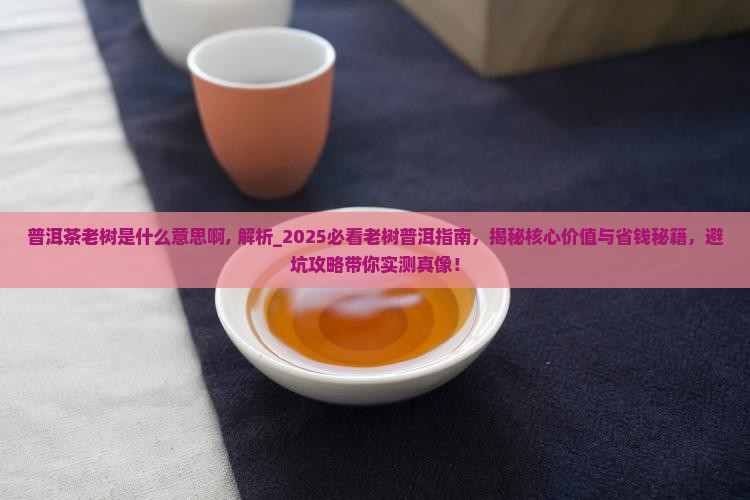 普洱茶老树是什么意思啊