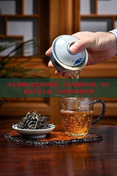 今大福茶叶怎么样