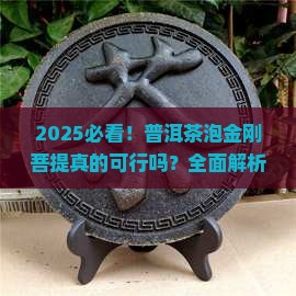 可以用普洱茶泡金刚菩提吗