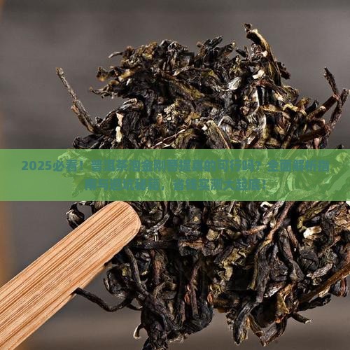 可以用普洱茶泡金刚菩提吗
