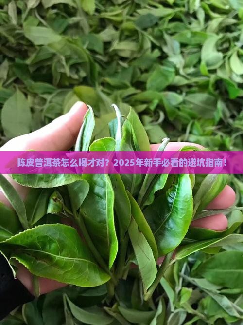 陈皮普洱茶的正确喝法