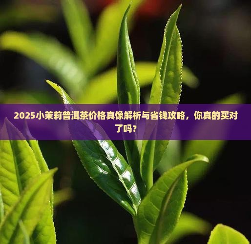 小茉莉普洱茶价格多少一斤