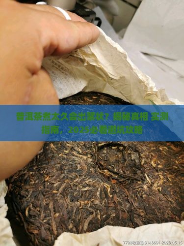 普洱茶烧的时间长有絮状