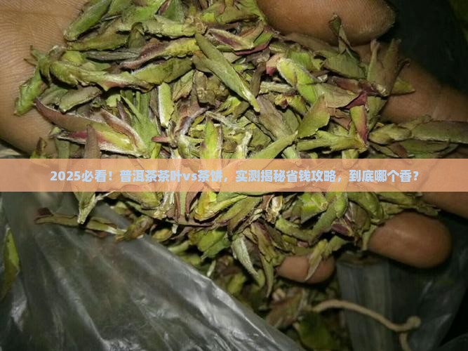 普洱茶茶叶好还是茶饼好