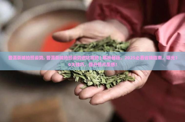 普洱茶城拍照姿势