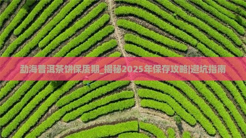 勐海普洱茶饼保质期