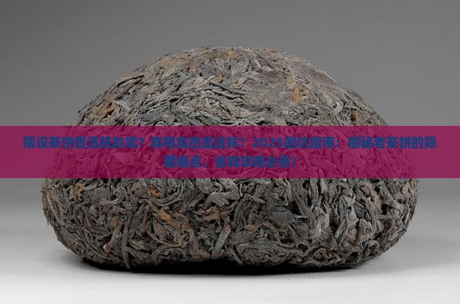 摆设茶饼普洱茶发霉
